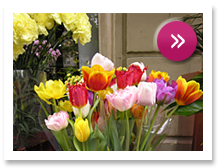 Livraisons régulières de bouquets naturels, location de bouquets artificiels